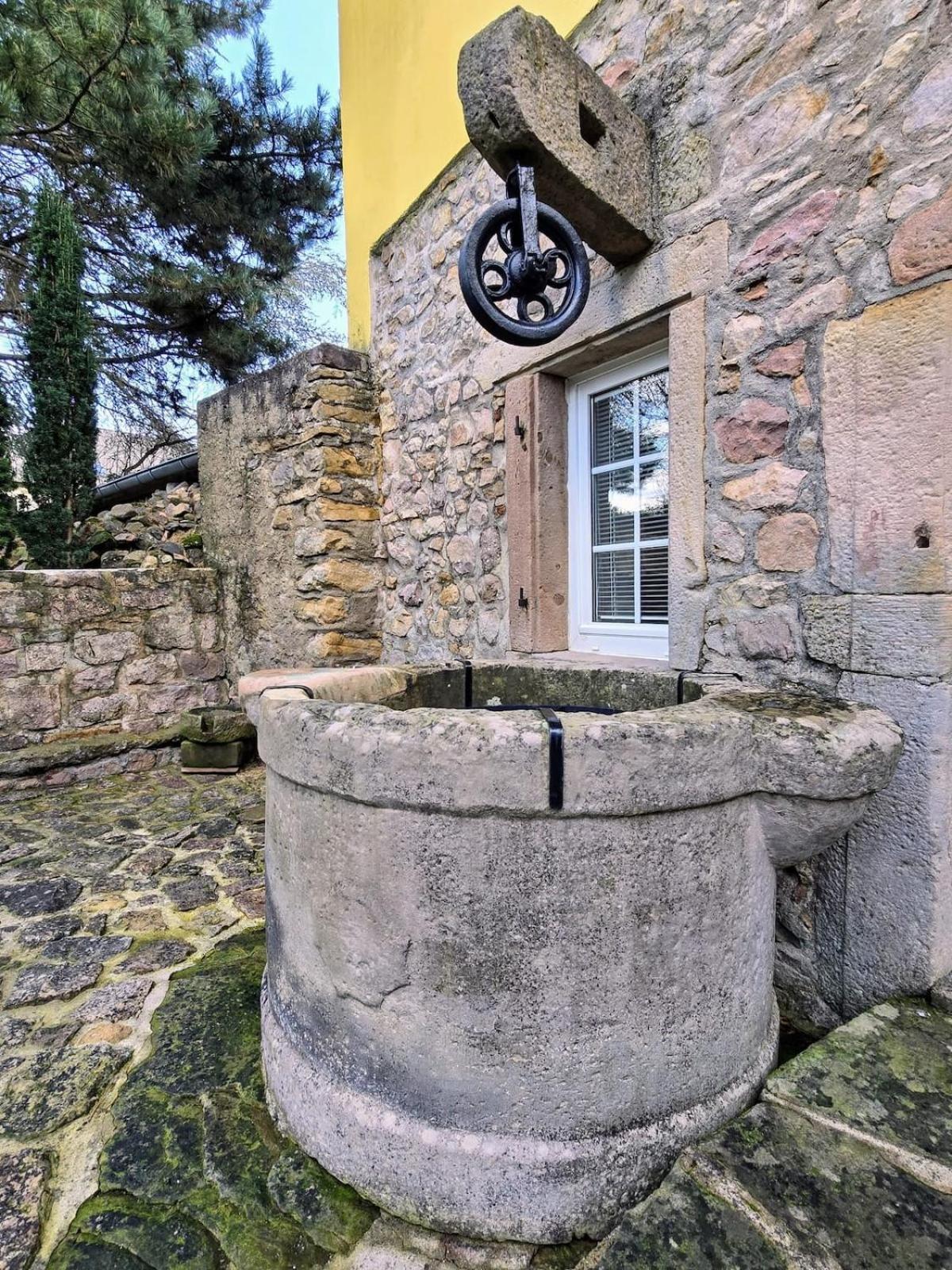 Studio Route Des Vins D 'Alsace Eichhoffen Exterior photo